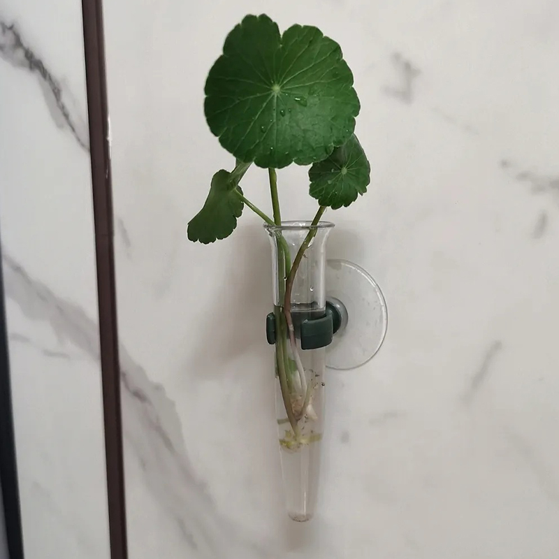 11cm 플로럴 워터 튜브 플라스틱 영양 공급 용기 흡 - Supply For Florist 리뷰 및 가격