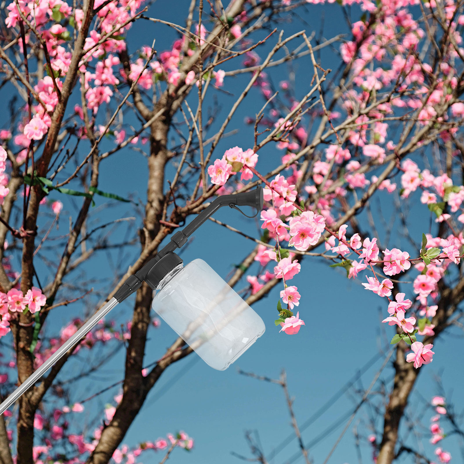 수동 꽃가루 이식 스틱, 온실 원예 용품용 휴대용 꽃가 - Flower Supply 리뷰 및 가격