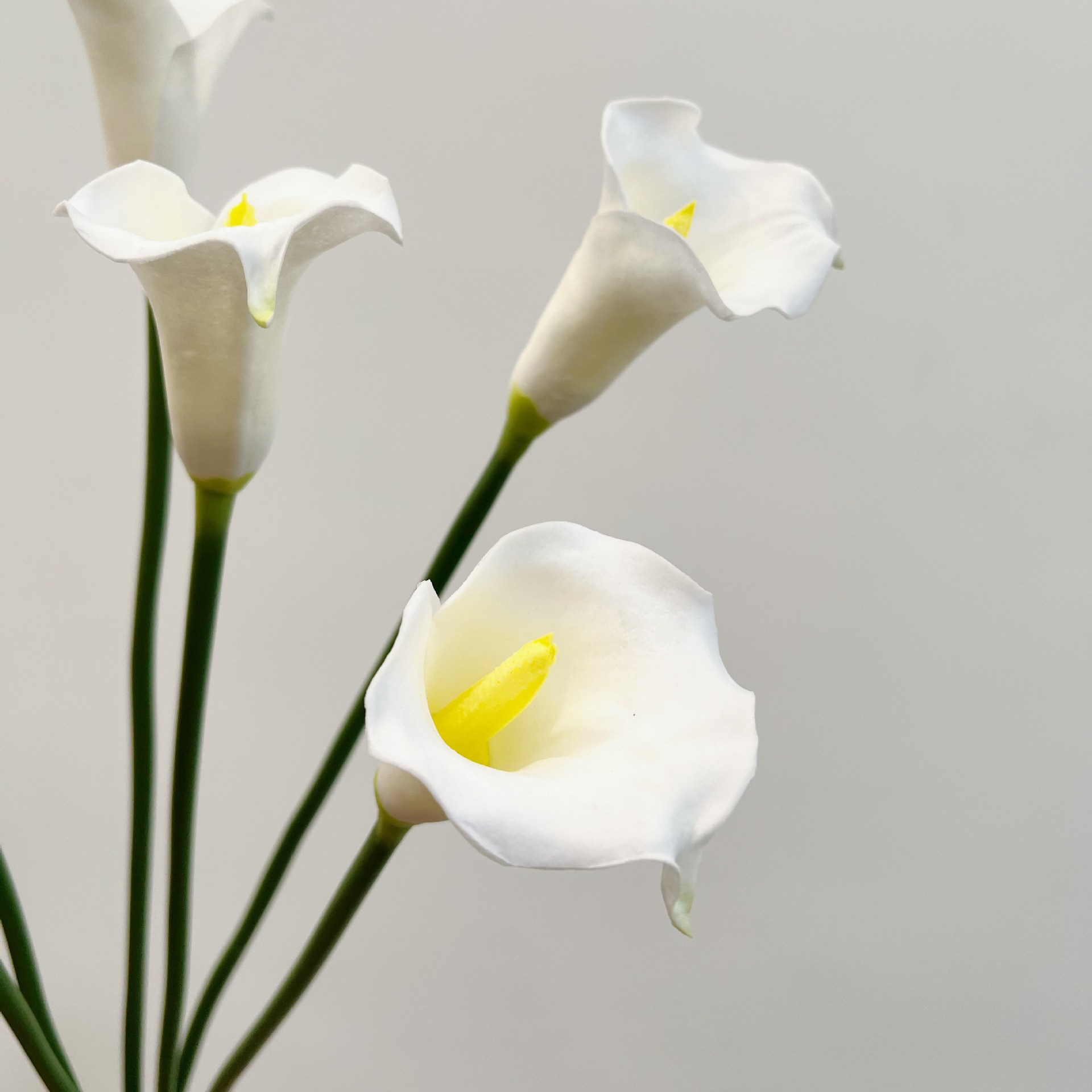 26인치 싱글 스템 크레센트 칼라 릴리 인조 꽃 웨딩  - Supply For Florist 리뷰 및 가격