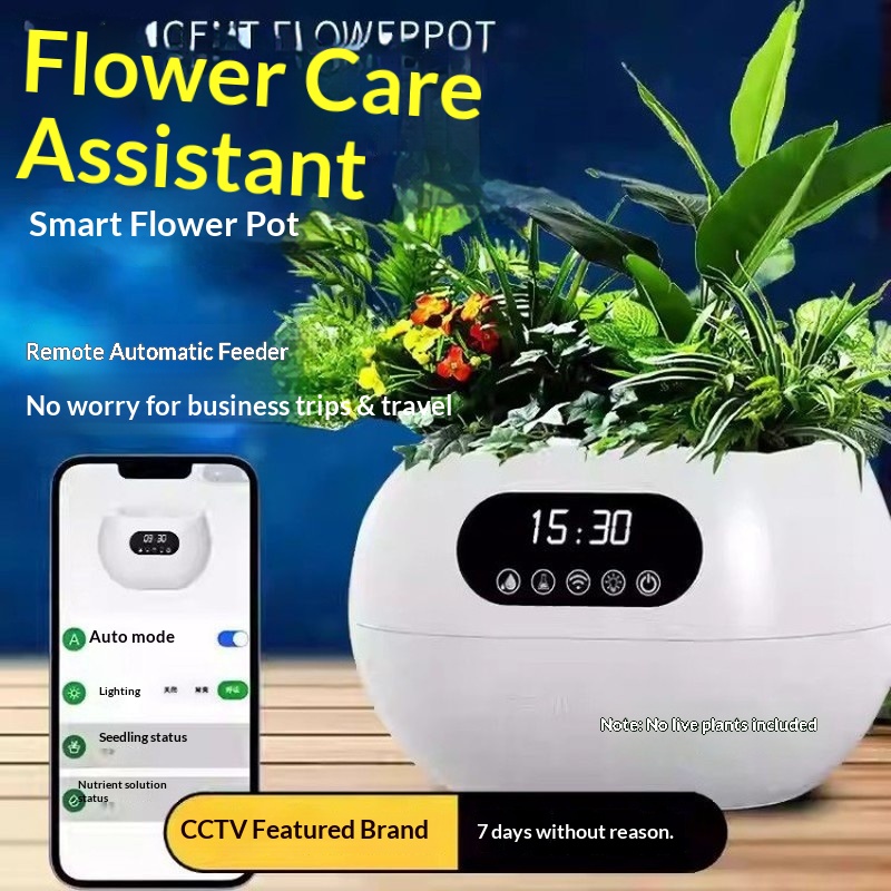 AI 지능형 화분 자동 급수 영양 공급 휴대폰 원격 제 - Flower Supply 리뷰 및 가격